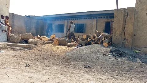 African Man Cutting Tree Logs With Chainsaw For Bread Industry Kano Nigeria Видео 328221250