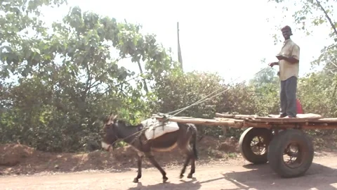 African man with donkye pulling cart - Etiopia, Africa Video stock 151423975