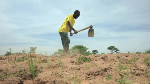 African man manually ploughing a dry field with a hoe Stock Footage 265707137