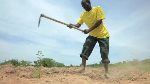 African man manually ploughing a dry field in Uganda, East Africa Stock Footage 265707715