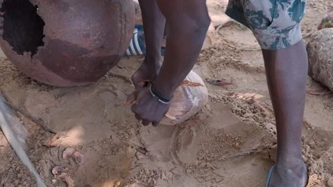 African man opens coconut with his hands Stock Footage 304871523