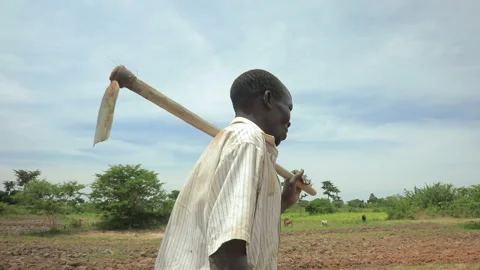 African man walking carrying a hoe on his shoulder in Uganda Stock Footage 265708668