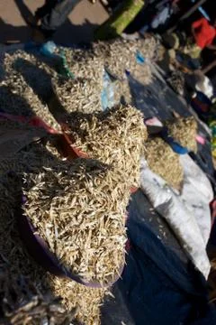 African Market Dried Fish Stock Photos
