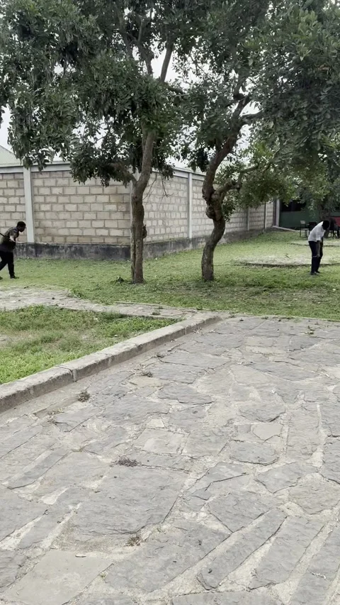 African men cutting grass with machetes manually in Mikumi Tanzania 库存影片 344040713