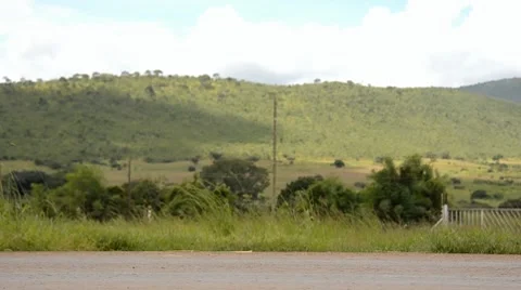 African men Stock Footage 7739951