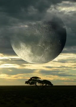 African Moon Ilustração Stock