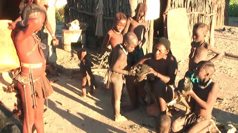 African native tribes - Young Himba woman examines a chicken for deseases 動画素材 27028997