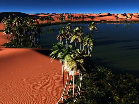 African oasis 库存插图