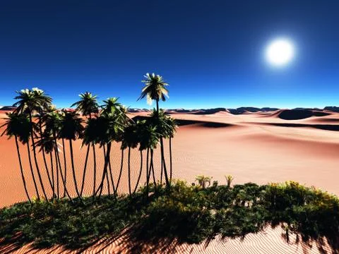 African oasis Stock Illustration