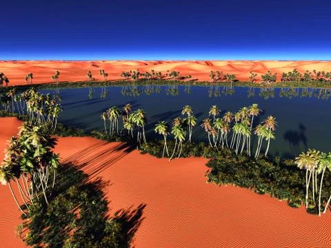 African oasis Stock Illustration