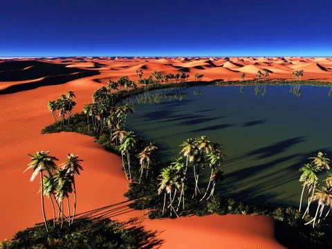 African oasis Stock Illustration