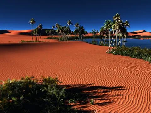 African oasis Stock Illustration