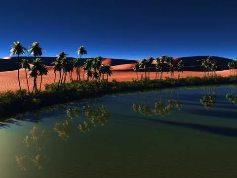 African oasis Stock Illustration