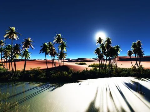 African oasis Stock Illustration