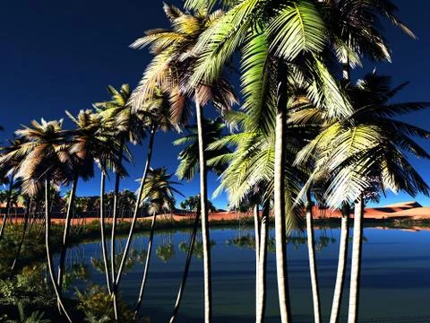 African oasis Stock Illustration