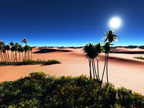 African oasis 스톡 일러스트