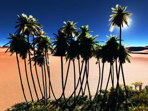 African oasis Ilustração Stock