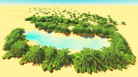 African oasis Stock Illustration