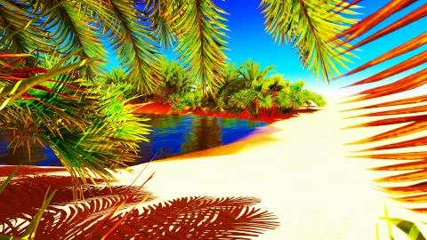 African oasis Illustration