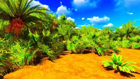 African oasis Stock Illustration