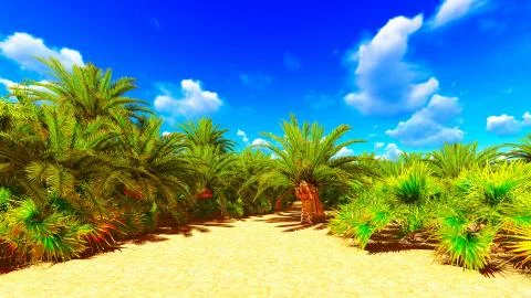 African oasis イラスト素材