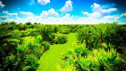 African oasis Stock Illustration