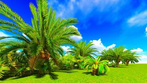 African oasis Stock Illustration