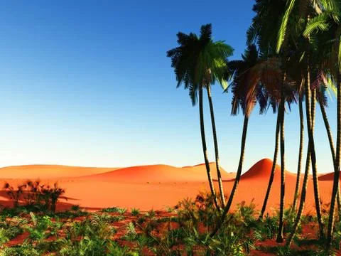 African oasis Illustrazione stock