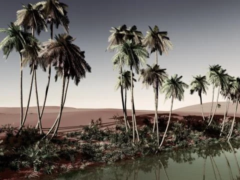 African oasis 库存插图