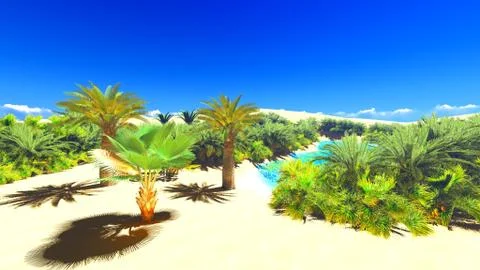 African oasis on Sahara Stock Illustration