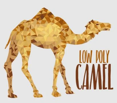 African one horned camel vector illustration Stock Illustration
