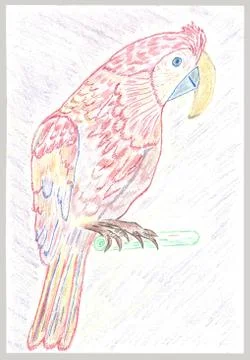 African parrot Stockillustratie