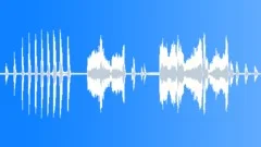 African penguinsSound Effect