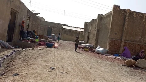 African People Processing Roselle Hibiscus In Community Street Kano Nigeria Vídeo Stock 330589246