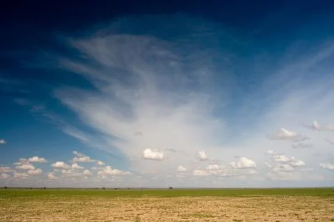 African Plain Stock Photos