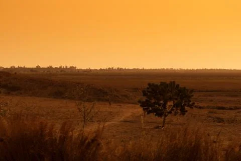 African plain at sunset, with dry trees. Angola Stock Photos