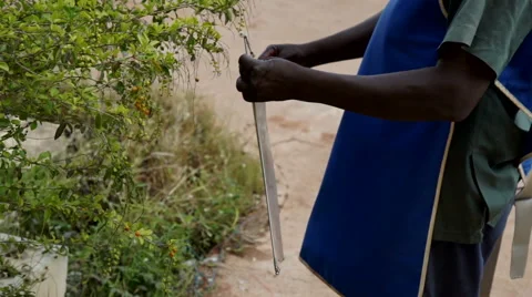 African radiologist makes dry the x-ray of a shoulder. About medicine, fracture. Stock Footage 68340673