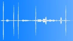 African Red Winged StarlingSound Effect