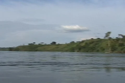 African River 07 Stock Footage 356675