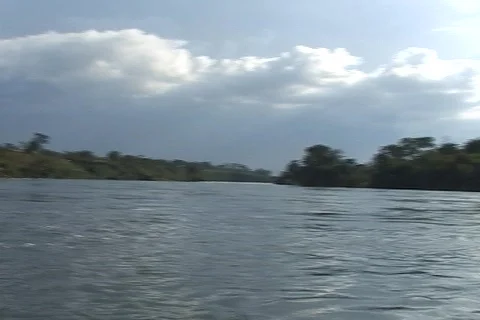 African River 08 Stock-Footage 356676