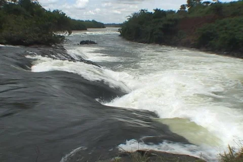 African River 10 Stock Footage 356684