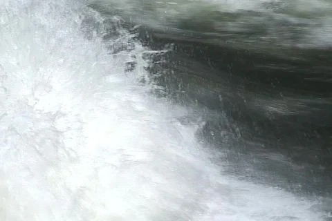 African River 13 Видео 356696