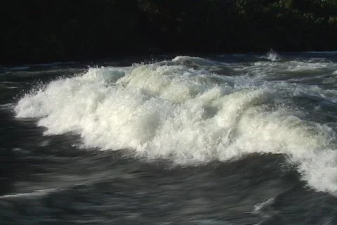 African River 14 Stock Footage 356702