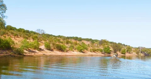 African River in Botswana Vídeo Stock 104992555