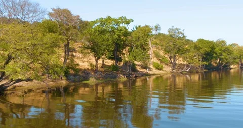 African River in Botswana Vídeo Stock 104994905