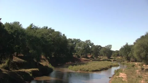 African river Stock Footage 8623421