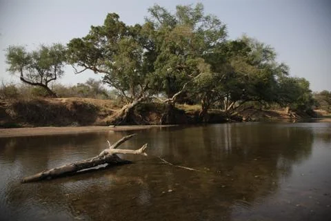 African River Stock Photos