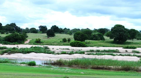 African River Timelapes with Impala drinking Video stock 41613964