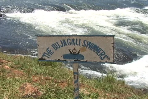 African Riverside 01A Stock Footage 356683