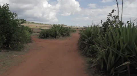African Road Stock Footage 60559689